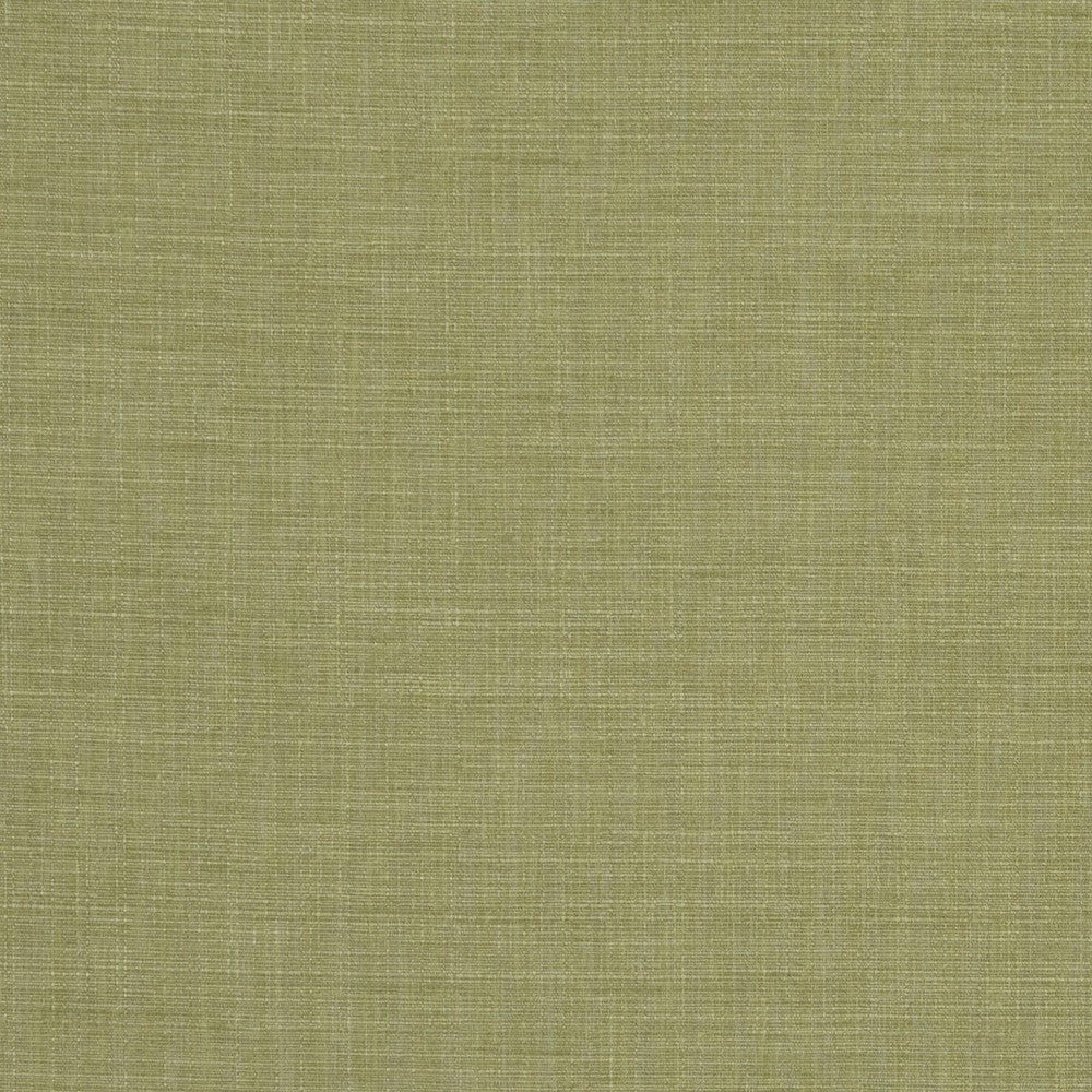 Seda Pesto by Clarke And Clarke Fabric CLARKE & CLARKE TUSSAH & SEDA POLYESTER - 100% India HEAVY Horizontal: 0 and Vertical: 0 54.375 - Fabric Carolina -