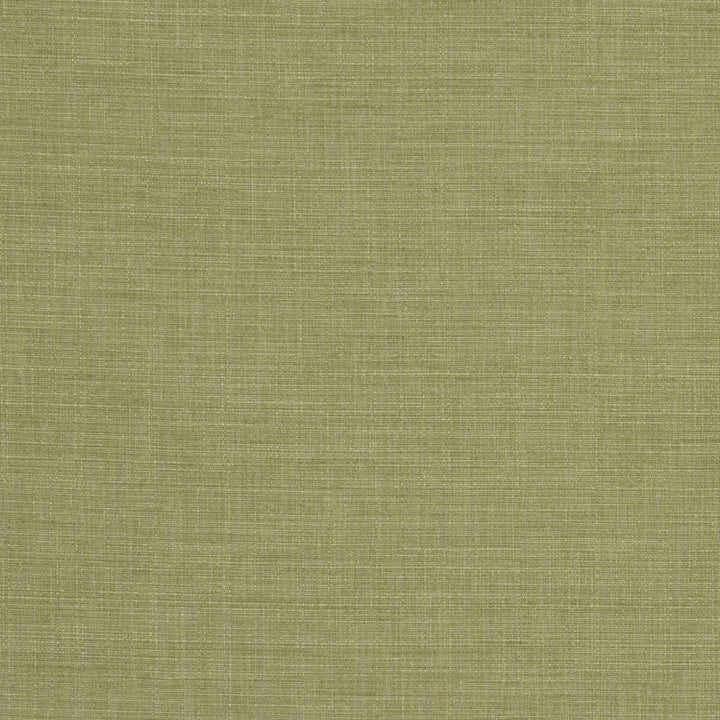Seda Pesto by Clarke And Clarke Fabric CLARKE & CLARKE TUSSAH & SEDA POLYESTER - 100% India HEAVY Horizontal: 0 and Vertical: 0 54.375 - Fabric Carolina -