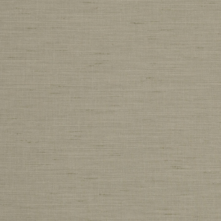 Seda Raffia by Clarke And Clarke Fabric CLARKE & CLARKE TUSSAH & SEDA POLYESTER - 100% India HEAVY Horizontal: 0 and Vertical: 0 54.375 - Fabric Carolina -