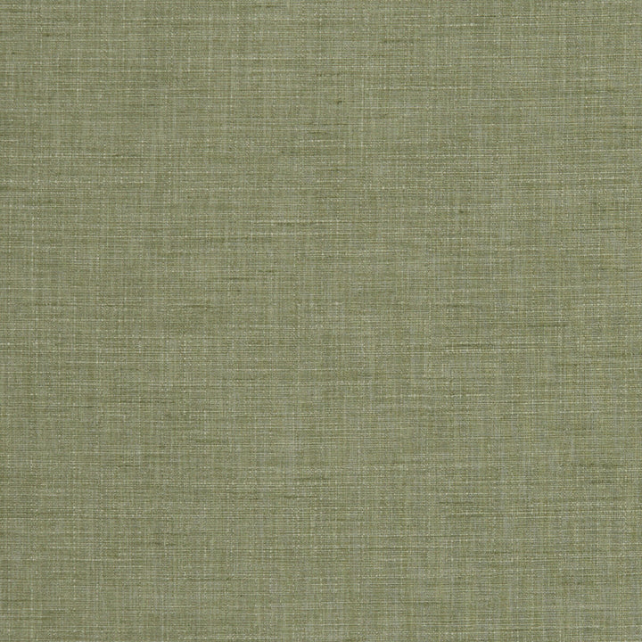 Seda Sage by Clarke And Clarke Fabric CLARKE & CLARKE TUSSAH & SEDA POLYESTER - 100% India HEAVY Horizontal: 0 and Vertical: 0 54.375 - Fabric Carolina -