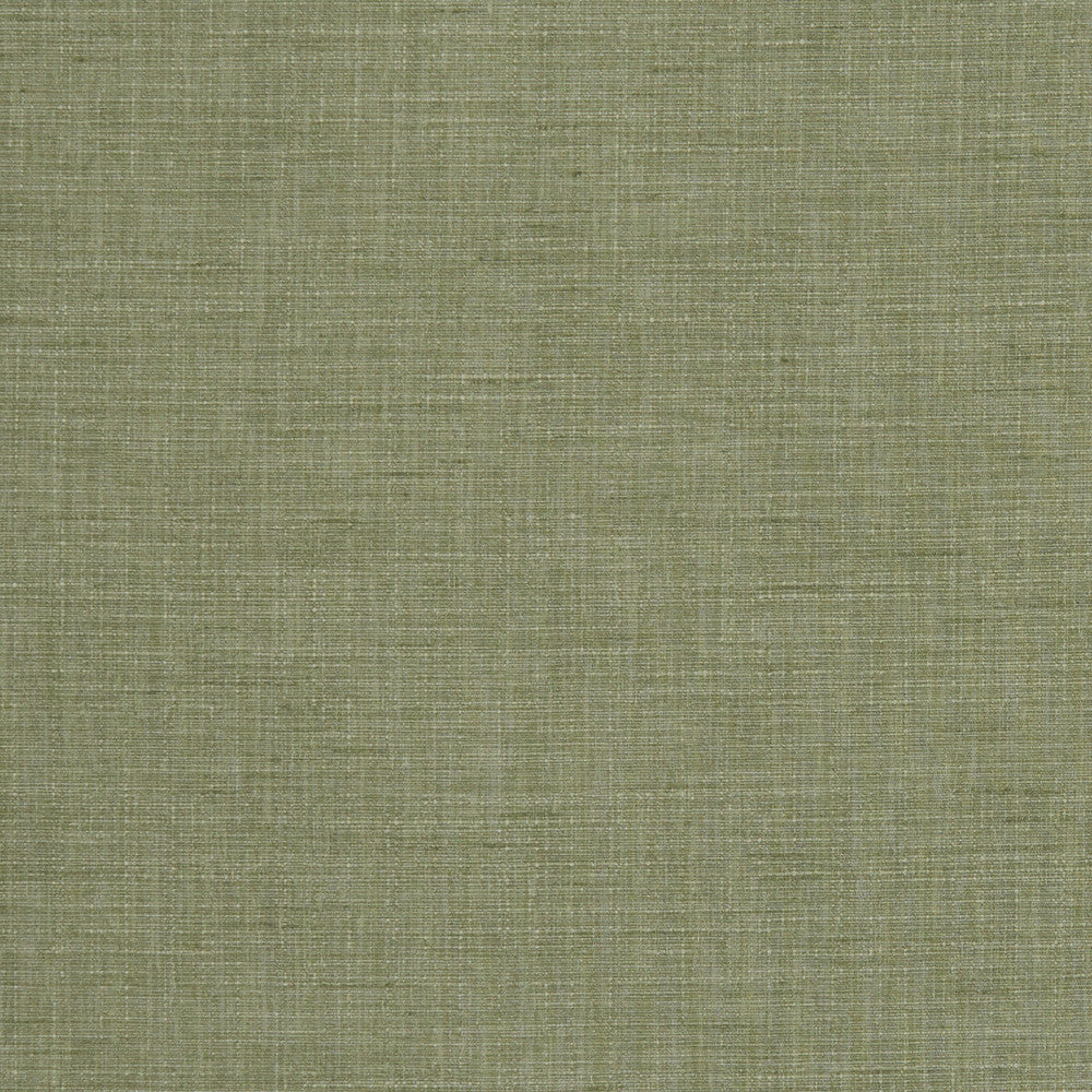 Seda Sage by Clarke And Clarke Fabric CLARKE & CLARKE TUSSAH & SEDA POLYESTER - 100% India HEAVY Horizontal: 0 and Vertical: 0 54.375 - Fabric Carolina -