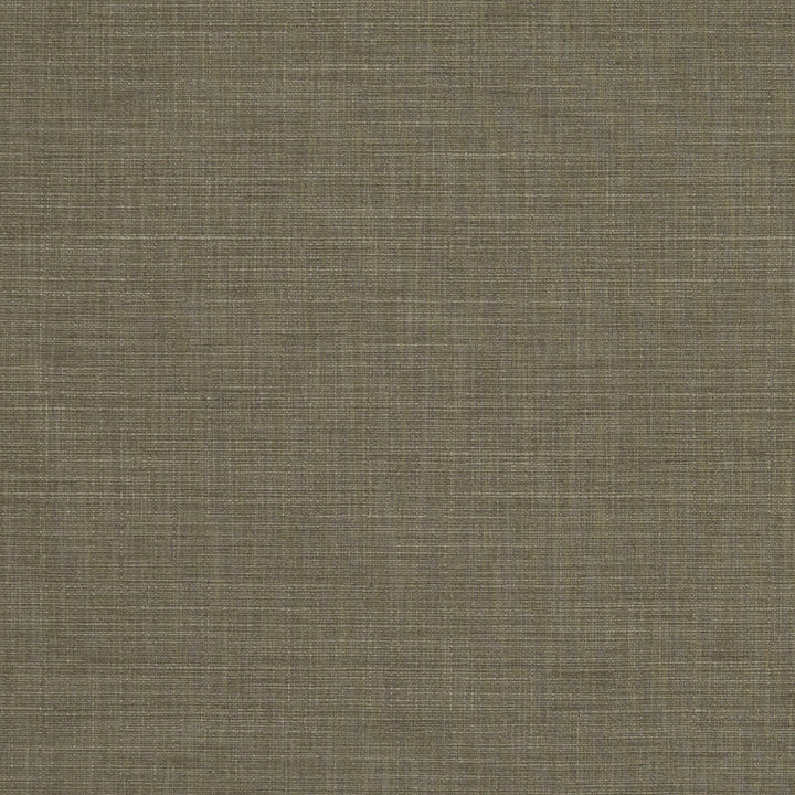 Seda Taupe by Clarke And Clarke Fabric CLARKE & CLARKE TUSSAH & SEDA POLYESTER - 100% India HEAVY Horizontal: 0 and Vertical: 0 54.375 - Fabric Carolina -