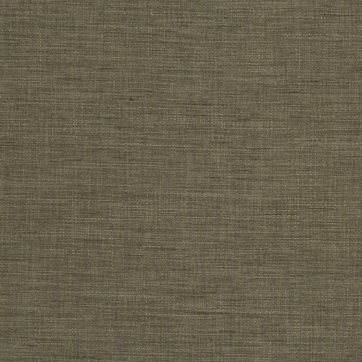 Seda Truffle by Clarke And Clarke Fabric Clarke And Clarke Fabric Seda TruffleFabric CLARKE & CLARKE TUSSAH & SEDA POLYESTER - 100% India </p><p>Repeat: H: 0, V: 0 54.375 - Fabric Carolina -