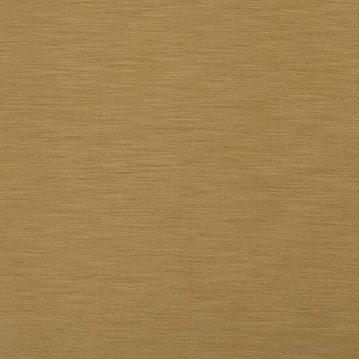 Tussah Antique by Clarke And Clarke Fabric CLARKE & CLARKE TUSSAH & SEDA POLYESTER - 100% India Horizontal: and Vertical: 54.375 - Fabric Carolina -