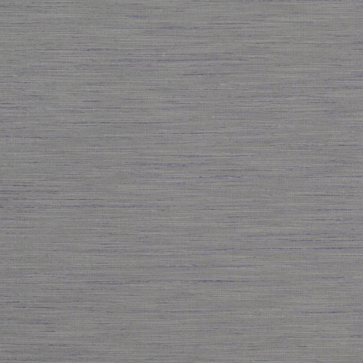 Tussah Ash by Clarke And Clarke Fabric CLARKE & CLARKE TUSSAH & SEDA POLYESTER - 100% India Horizontal: and Vertical: 54.375 - Fabric Carolina -