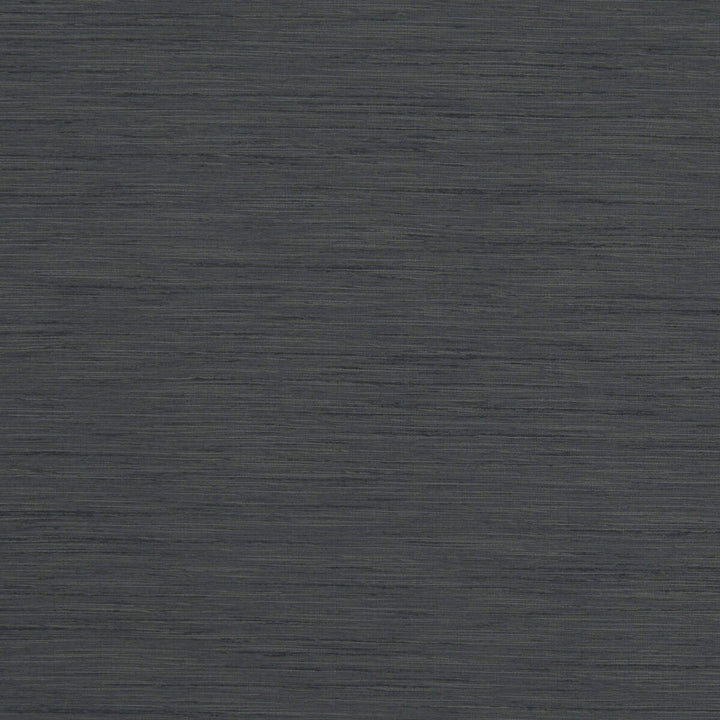 Tussah Charcoal by Clarke And Clarke Fabric Clarke And Clarke Fabric Tussah CharcoalFabric CLARKE & CLARKE TUSSAH & SEDA POLYESTER - 100% India </p><p>Repeat: H: , V: 54.375 - Fabric Carolina -