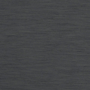 Tussah Charcoal by Clarke And Clarke Fabric