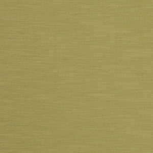Tussah Citron by Clarke And Clarke Fabric
