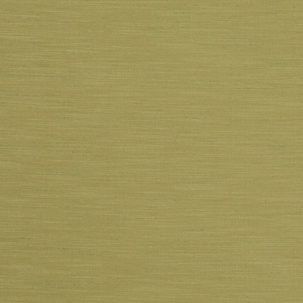 Tussah Citron by Clarke And Clarke Fabric CLARKE & CLARKE TUSSAH & SEDA POLYESTER - 100% India Horizontal: and Vertical: 54.375 - Fabric Carolina -