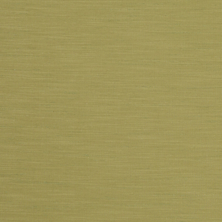 Tussah Citron by Clarke And Clarke Fabric CLARKE & CLARKE TUSSAH & SEDA POLYESTER - 100% India Horizontal: and Vertical: 54.375 - Fabric Carolina -