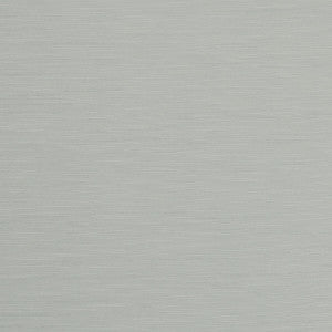 Tussah Dove by Clarke And Clarke Fabric