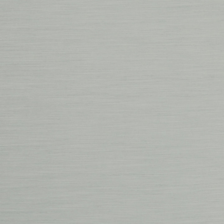 Tussah Dove by Clarke And Clarke Fabric CLARKE & CLARKE TUSSAH & SEDA POLYESTER - 100% India Horizontal: and Vertical: 54.375 - Fabric Carolina -