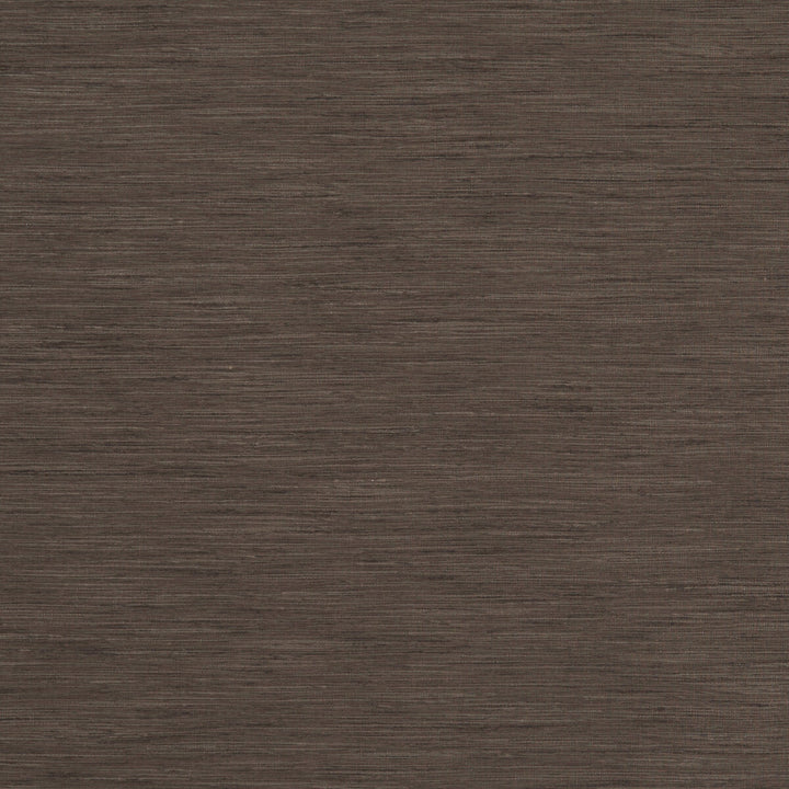 Tussah Espresso by Clarke And Clarke Fabric CLARKE & CLARKE TUSSAH & SEDA POLYESTER - 100% India - Horizontal: - and Vertical: - 54.375 - Fabric Carolina -