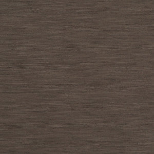 Tussah Espresso by Clarke And Clarke Fabric