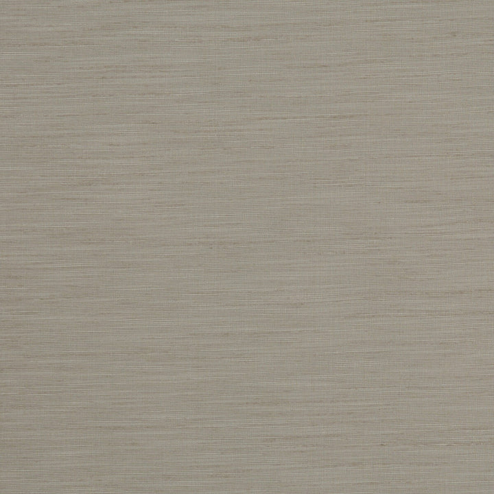 Tussah Feather by Clarke And Clarke Fabric CLARKE & CLARKE TUSSAH & SEDA POLYESTER - 100% India - Horizontal: - and Vertical: - 54.375 - Fabric Carolina -