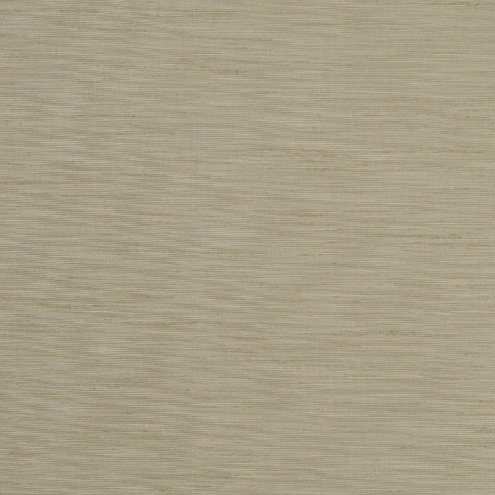 Tussah Flax by Clarke And Clarke Fabric CLARKE & CLARKE TUSSAH & SEDA POLYESTER - 100% India Horizontal: and Vertical: 54.375 - Fabric Carolina -