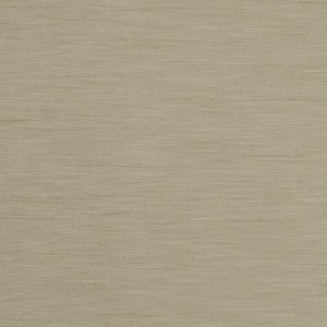 Tussah Flax by Clarke And Clarke Fabric