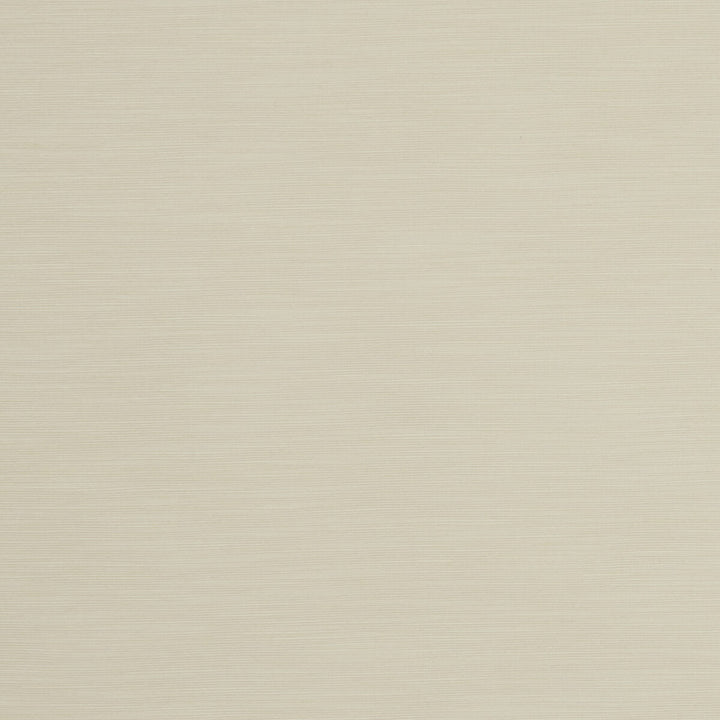 Tussah Ivory by Clarke And Clarke Fabric CLARKE & CLARKE TUSSAH & SEDA POLYESTER - 100% India Horizontal: and Vertical: 54.375 - Fabric Carolina -