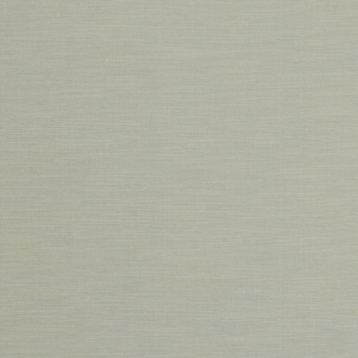 Tussah Mineral by Clarke And Clarke Fabric CLARKE & CLARKE TUSSAH & SEDA POLYESTER - 100% India - Horizontal: - and Vertical: - 54.375 - Fabric Carolina -
