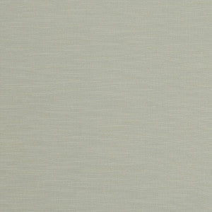 Tussah Mineral by Clarke And Clarke Fabric