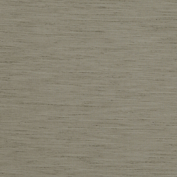 Tussah Mink by Clarke And Clarke Fabric CLARKE & CLARKE TUSSAH & SEDA POLYESTER - 100% India - Horizontal: - and Vertical: - 54.375 - Fabric Carolina -