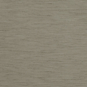 Tussah Mink by Clarke And Clarke Fabric