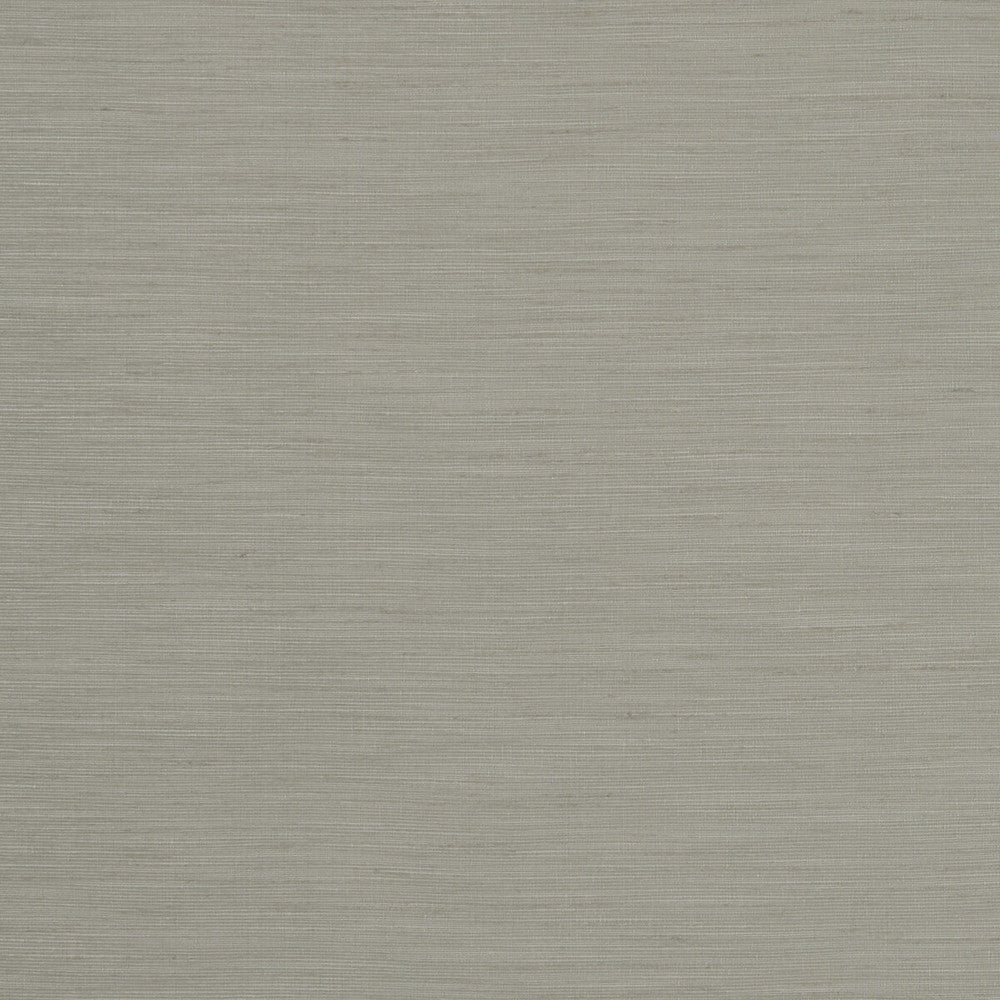 Tussah Mist by Clarke And Clarke Fabric CLARKE & CLARKE TUSSAH & SEDA POLYESTER - 100% India Horizontal: and Vertical: 54.375 - Fabric Carolina -