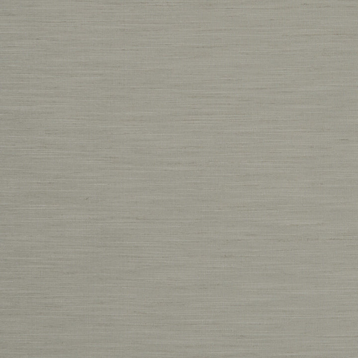 Tussah Mist by Clarke And Clarke Fabric CLARKE & CLARKE TUSSAH & SEDA POLYESTER - 100% India - Horizontal: - and Vertical: - 54.375 - Fabric Carolina -