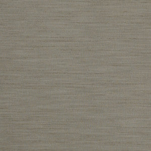 Tussah Mocha by Clarke And Clarke Fabric