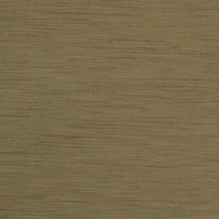 Tussah Olive by Clarke And Clarke Fabric CLARKE & CLARKE TUSSAH & SEDA POLYESTER - 100% India Horizontal: and Vertical: 54.375 - Fabric Carolina -