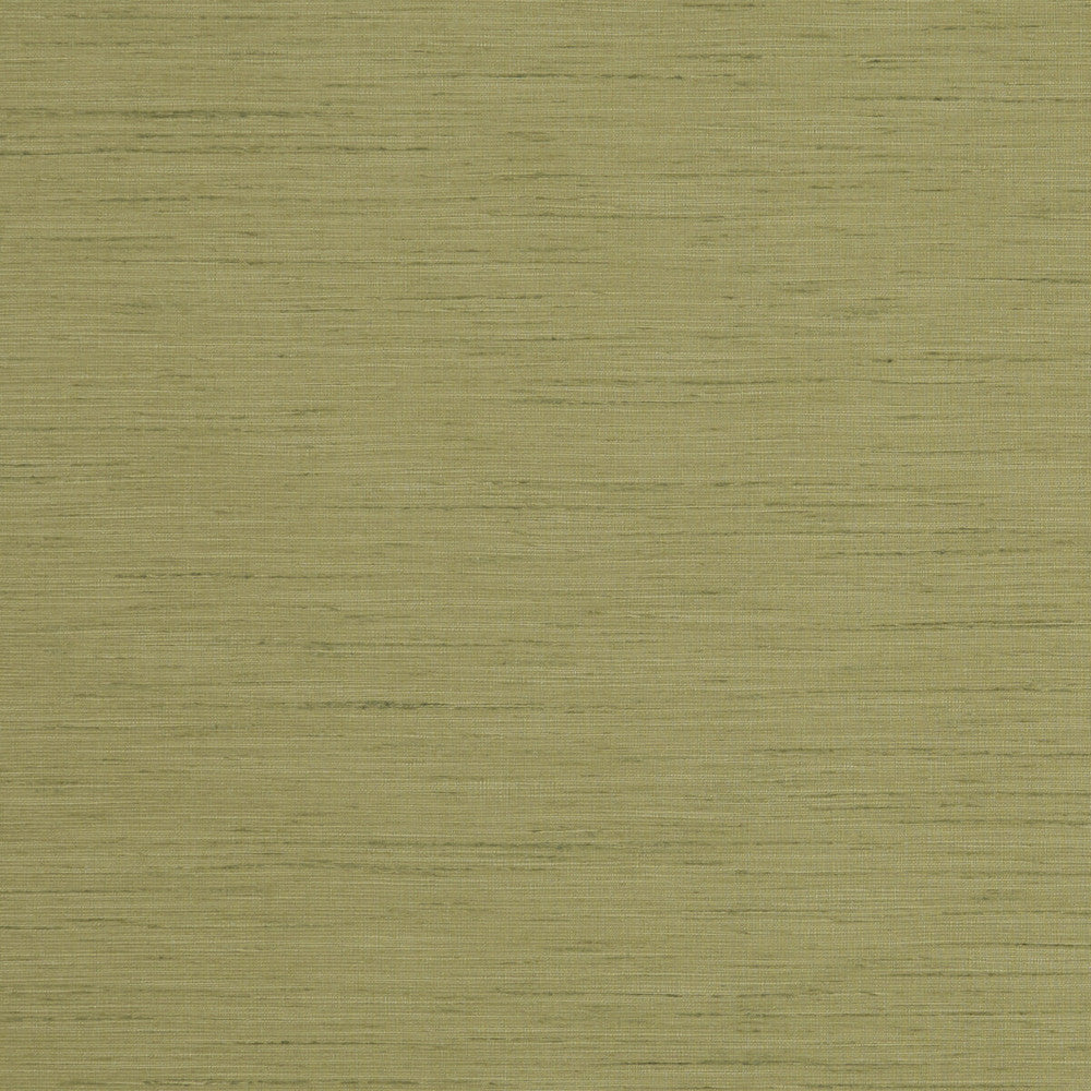 Tussah Pesto by Clarke And Clarke Fabric CLARKE & CLARKE TUSSAH & SEDA POLYESTER - 100% India - Horizontal: - and Vertical: - 54.375 - Fabric Carolina -
