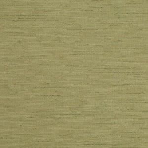 Tussah Pesto by Clarke And Clarke Fabric