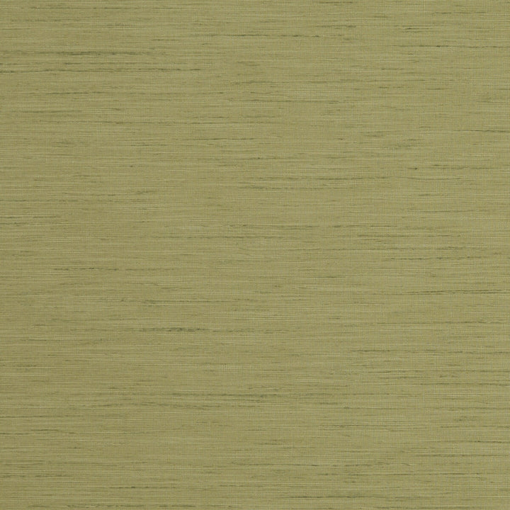 Tussah Pesto by Clarke And Clarke Fabric CLARKE & CLARKE TUSSAH & SEDA POLYESTER - 100% India Horizontal: and Vertical: 54.375 - Fabric Carolina -