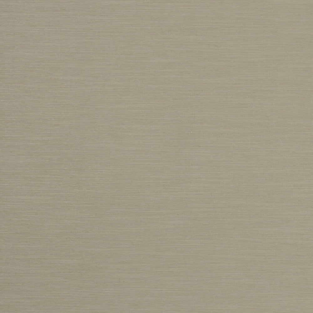 Tussah Raffia by Clarke And Clarke Fabric CLARKE & CLARKE TUSSAH & SEDA POLYESTER - 100% India Horizontal: and Vertical: 54.375 - Fabric Carolina -