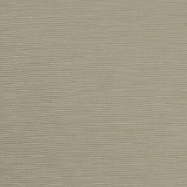 Tussah Raffia by Clarke And Clarke Fabric CLARKE & CLARKE TUSSAH & SEDA POLYESTER - 100% India - Horizontal: - and Vertical: - 54.375 - Fabric Carolina -