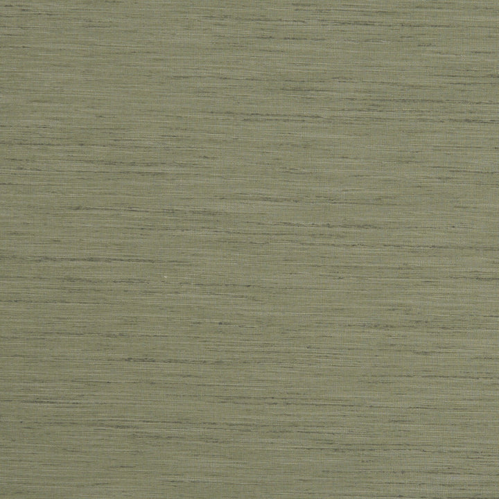 Tussah Sage by Clarke And Clarke Fabric CLARKE & CLARKE TUSSAH & SEDA POLYESTER - 100% India - Horizontal: - and Vertical: - 54.375 - Fabric Carolina -
