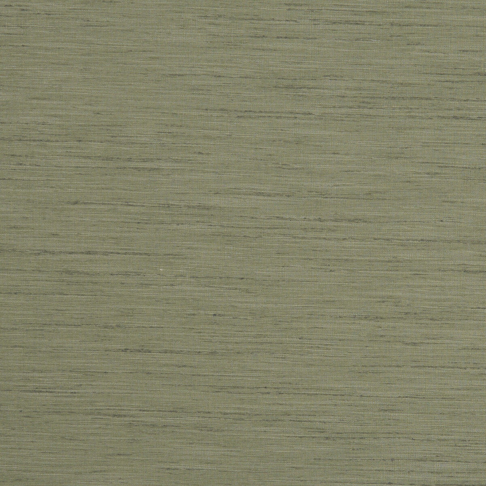 Tussah Sage by Clarke And Clarke Fabric CLARKE & CLARKE TUSSAH & SEDA POLYESTER - 100% India Horizontal: and Vertical: 54.375 - Fabric Carolina -