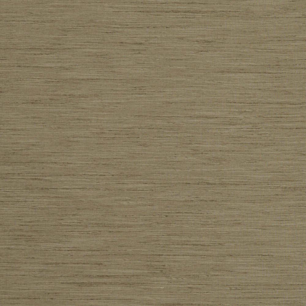 Tussah Taupe by Clarke And Clarke Fabric CLARKE & CLARKE TUSSAH & SEDA POLYESTER - 100% India Horizontal: and Vertical: 54.375 - Fabric Carolina -