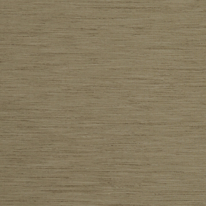 Tussah Taupe by Clarke And Clarke Fabric CLARKE & CLARKE TUSSAH & SEDA POLYESTER - 100% India Horizontal: and Vertical: 54.375 - Fabric Carolina -