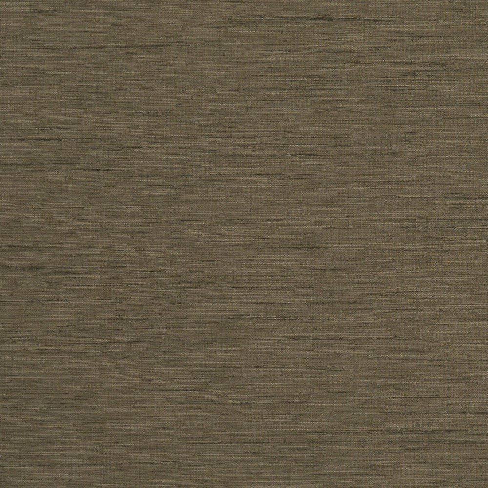 Tussah Truffle by Clarke And Clarke Fabric CLARKE & CLARKE TUSSAH & SEDA POLYESTER - 100% India - Horizontal: - and Vertical: - 54.375 - Fabric Carolina -