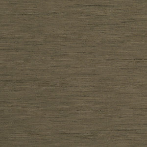 Tussah Truffle by Clarke And Clarke Fabric