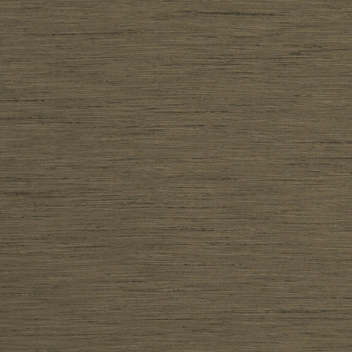 Tussah Truffle by Clarke And Clarke Fabric CLARKE & CLARKE TUSSAH & SEDA POLYESTER - 100% India Horizontal: and Vertical: 54.375 - Fabric Carolina -