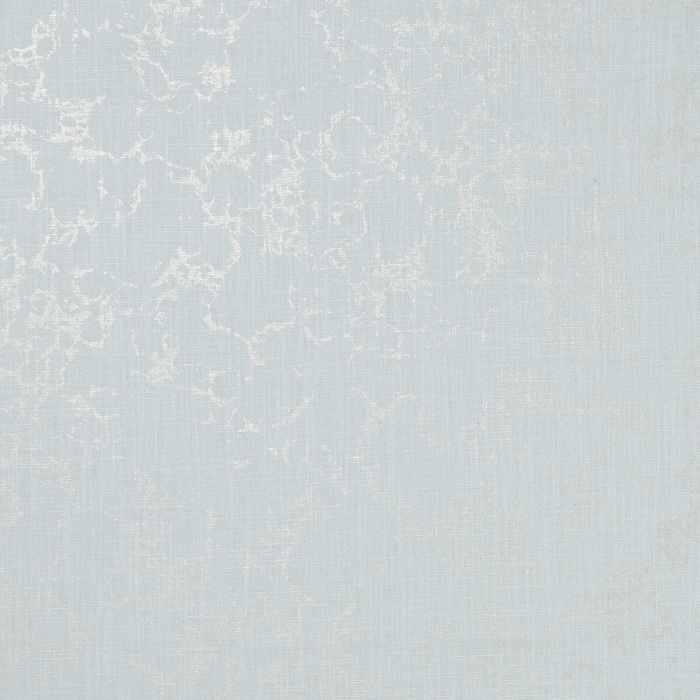 Pietra Mineral/Gilver by Clarke And Clarke Fabric CLARKE & CLARKE BOTANICA VISCOSE - 75%;LINEN - 25% India Horizontal: 0 and Vertical: 19.88 54 - Fabric Carolina -