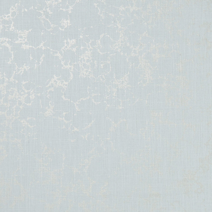 Pietra Mineral/Gilver by Clarke And Clarke Fabric Clarke And Clarke Fabric Pietra Mineral/GilverFabric CLARKE & CLARKE BOTANICA VISCOSE - 75%;LINEN - 25% India </p><p>Repeat: H: 0, V: 19.88 54 - Fabric Carolina -
