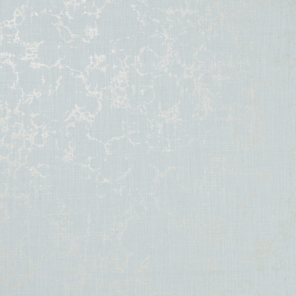 Pietra Mineral/Gilver by Clarke And Clarke Fabric Clarke And Clarke Fabric Pietra Mineral/GilverFabric CLARKE & CLARKE BOTANICA VISCOSE - 75%;LINEN - 25% India </p><p>Repeat: H: 0, V: 19.88 54 - Fabric Carolina -
