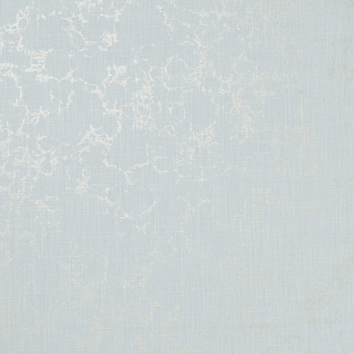 Pietra Mineral/Gilver by Clarke And Clarke Fabric Clarke And Clarke Fabric Pietra Mineral/GilverFabric CLARKE & CLARKE BOTANICA VISCOSE - 75%;LINEN - 25% India </p><p>Repeat: H: 0, V: 19.88 54 - Fabric Carolina -