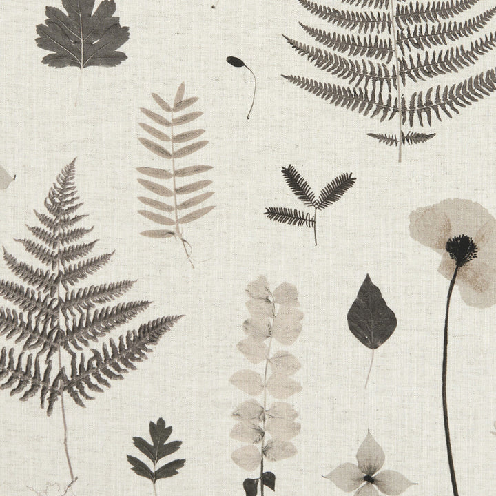 Herbarium Charcoal/Natural by Clarke And Clarke Fabric CLARKE & CLARKE BOTANICA VISCOSE - 70%;LINEN - 30% India HEAVY Horizontal: 54.72 and Vertical: 24.21 55 - Fabric Carolina -