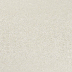 Isla Ivory/Gilver by Clarke And Clarke Fabric