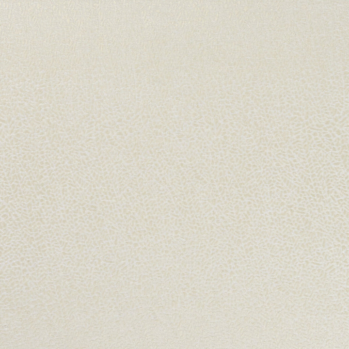 Isla Ivory/Gilver by Clarke And Clarke Fabric Clarke And Clarke Fabric Isla Ivory/GilverFabric CLARKE & CLARKE BOTANICA VISCOSE - 35%;POLYESTER - 33%;COTTON - 32% India </p><p>Repeat: H: 0, V: 0 55 - Fabric Carolina -