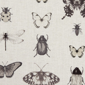 Papilio Charcoal/Linen by Clarke And Clarke Fabric